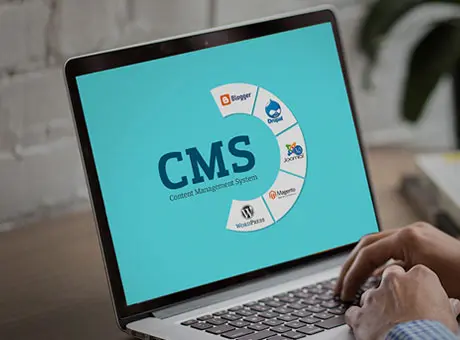 CMS Development