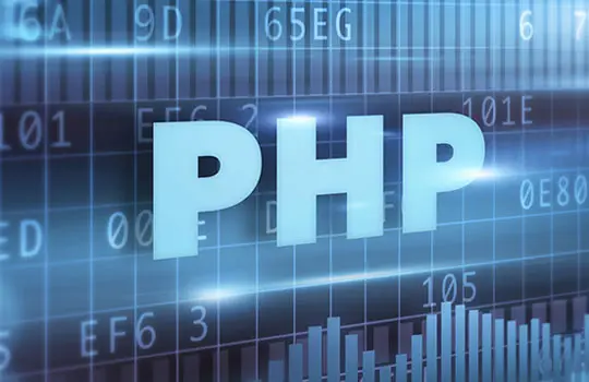 PHP Development in Amritsar